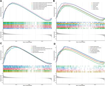 Integrated Analysis of Ferroptosis-Related Biomarker Signatures to Improve the Diagnosis and Prognosis Prediction of Ovarian Cancer